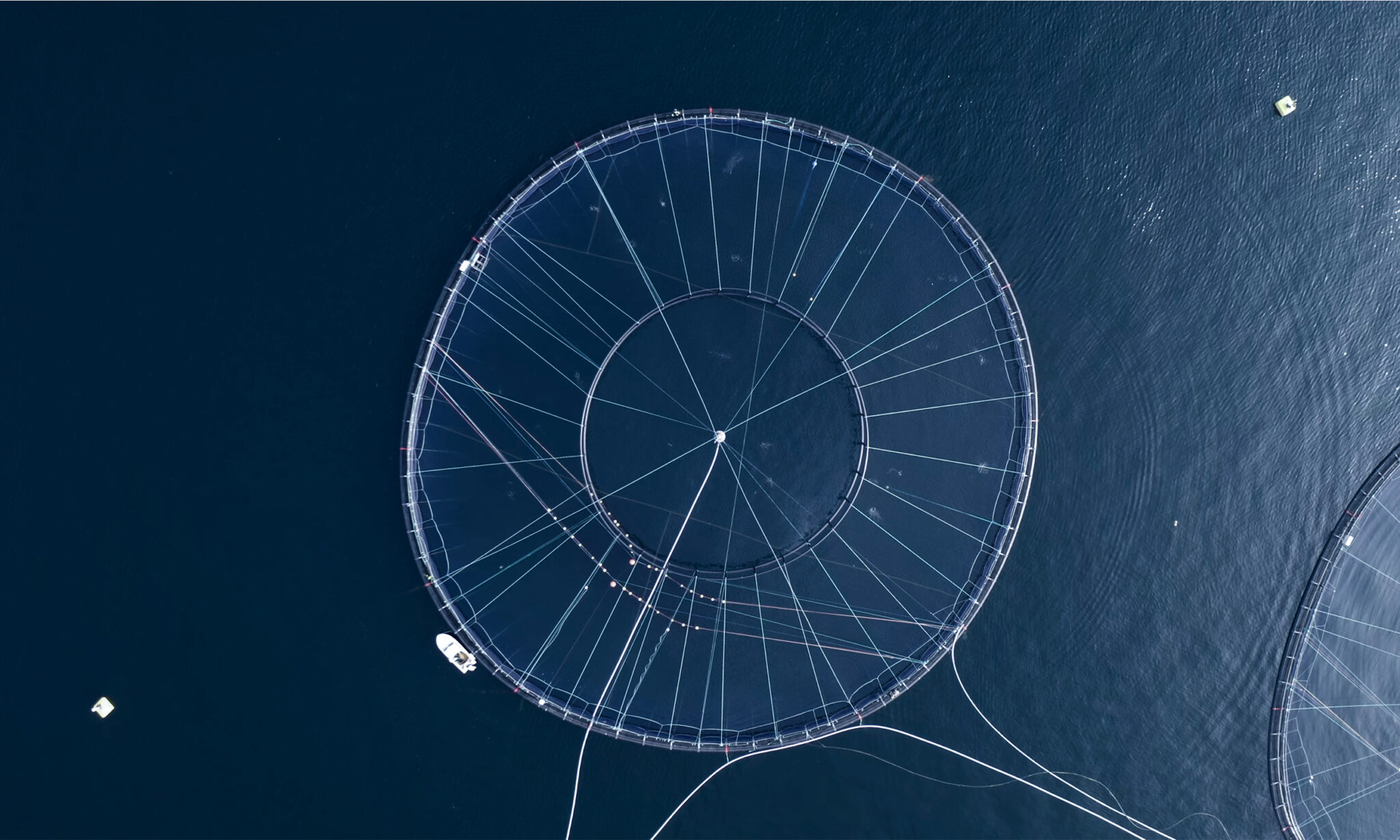 Om oss « Aqua Robotics